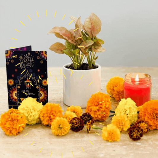 4 इंच चीनी मिट्टी के बर्तन में लाल सिंगोनियम