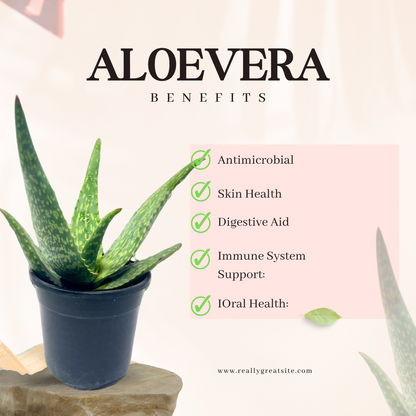 Super Aloevera