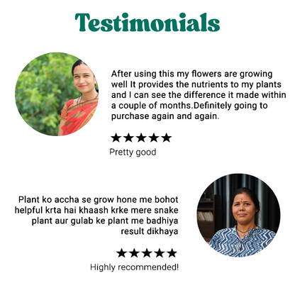 Plant Grow Fertilizer Sticks For Plants - 25 Stick