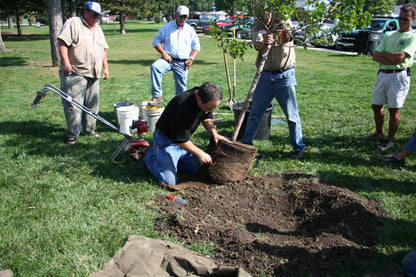 Trees for Environment Day