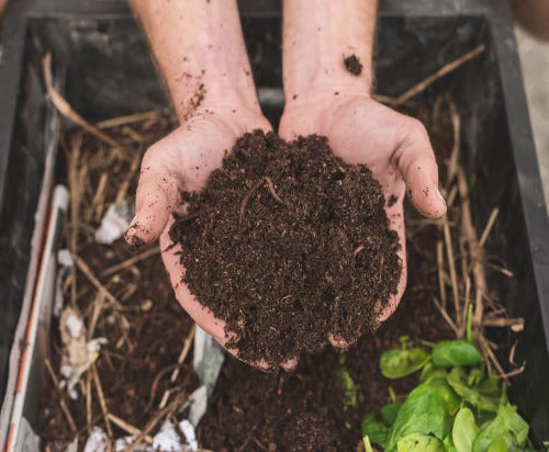 Vermicompost 5kg